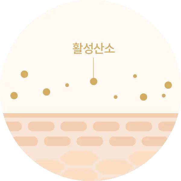 [잡티톤업/비타민C세럼] 닥터디퍼런트 CEQ 안티옥시던트 세럼 15ml 상세페이지 20